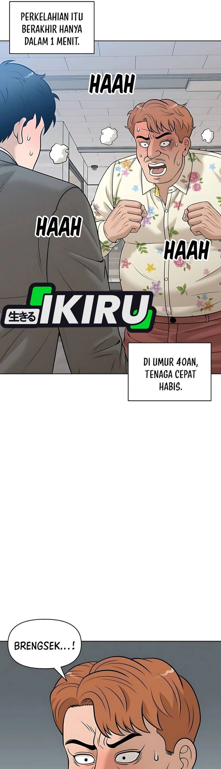 Halaman 17