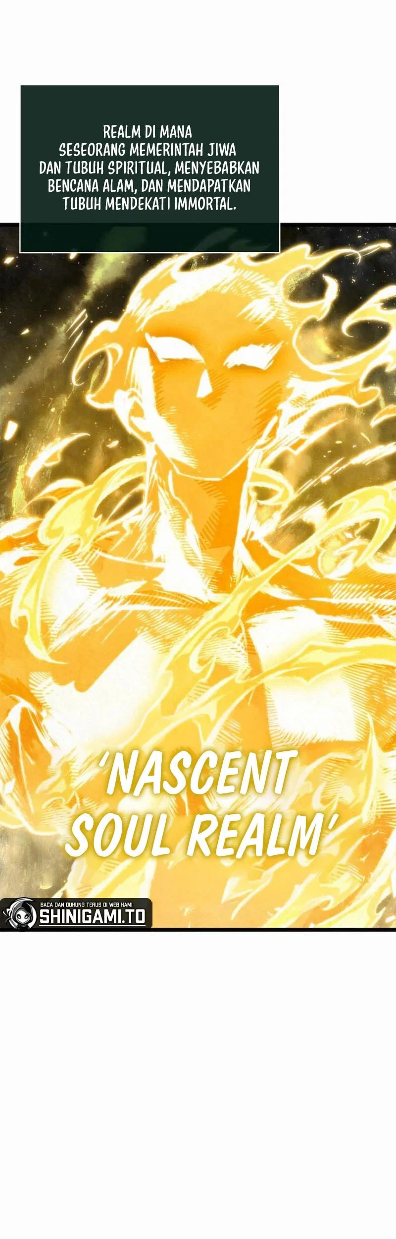 Chronicles Of The Demon-Slaying Cultivator Chapter 17 Gambar 12