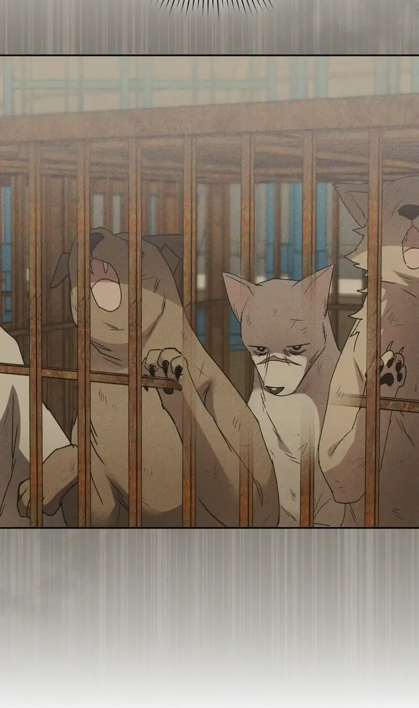 Hello? Veterinarian! Chapter 116 Gambar 18