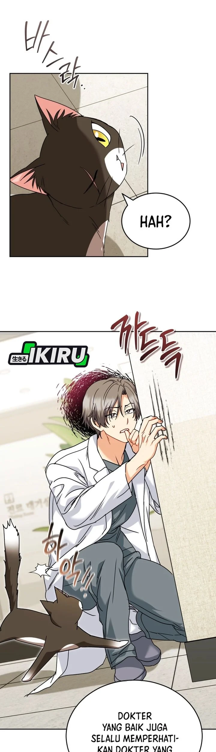 Hello? Veterinarian! Chapter 137 Gambar 15