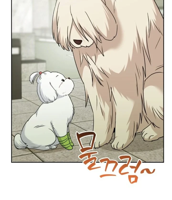 Hello? Veterinarian! Chapter 144 Gambar 17