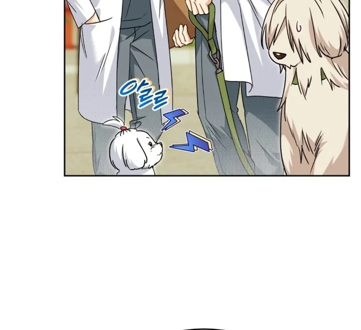 Hello? Veterinarian! Chapter 144 Gambar 19