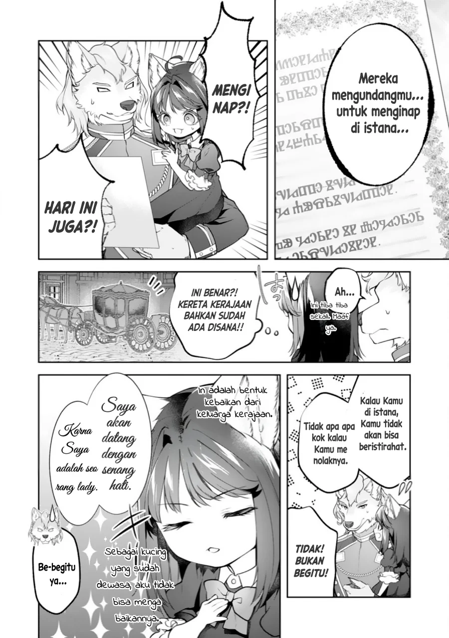 Neko Neko Youjo no Aijou Gohan ~Isekai de Mofumofu-tachi ni Ryouri wo Tsukurimasu!~ Chapter 16 Gambar 7