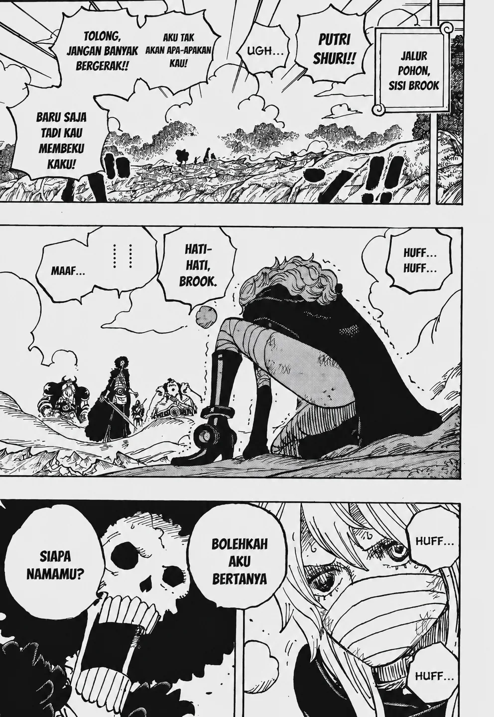 One Piece Chapter 1195 Gambar 5