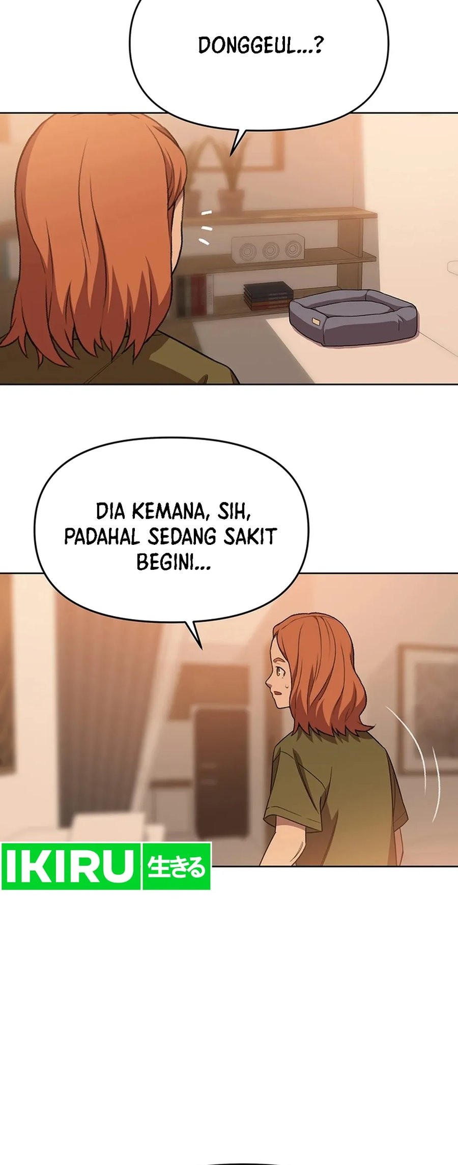 Halaman 11