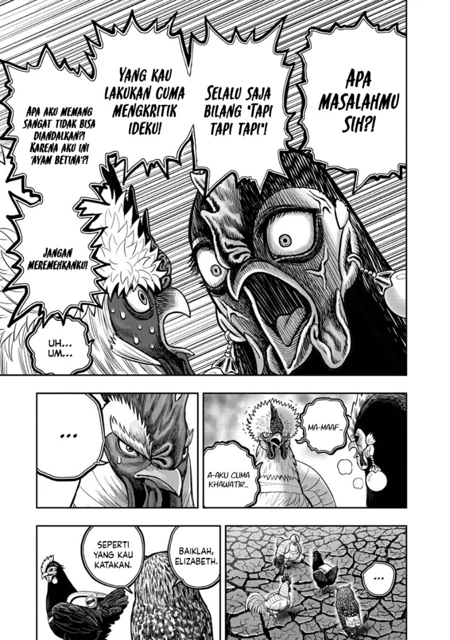 Rooster Fighter Chapter 45 Gambar 8