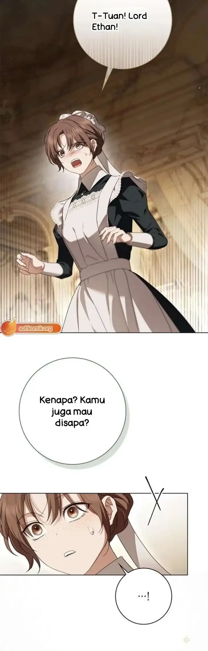 The Count’s Secret Maid Chapter 87 - Halaman 14