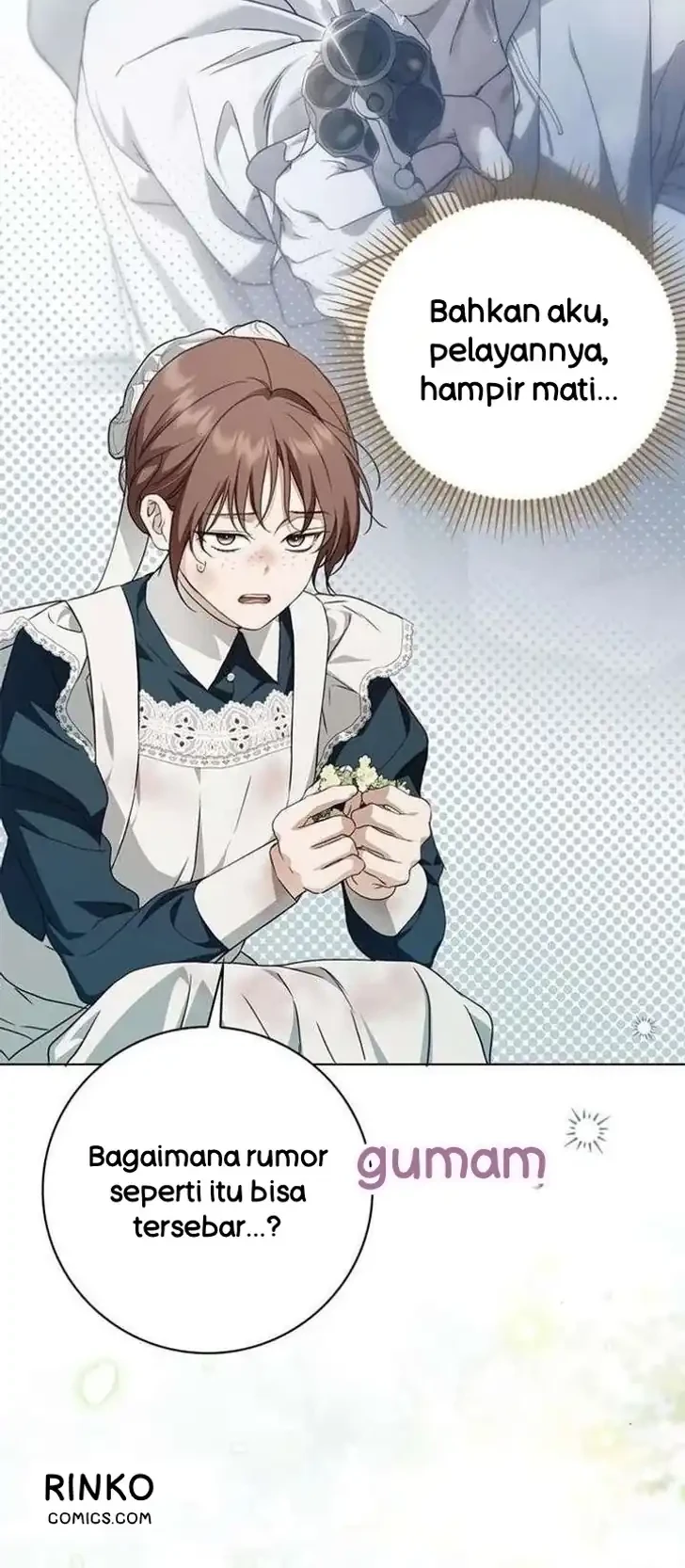The Count’s Secret Maid Chapter 88 - Halaman 12