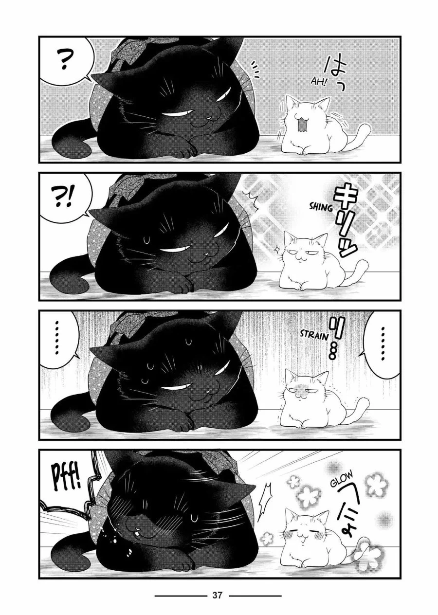 The Masterful Cat is Depressed Again Today Chapter 74 Gambar 5