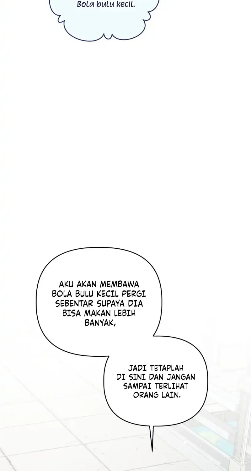 The White Tiger Clan’s Baby Cotton Ball Chapter 21 Gambar 17
