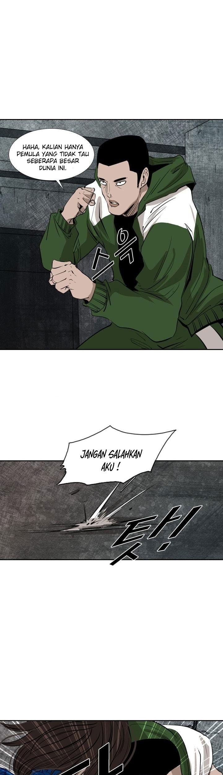 Halaman 17