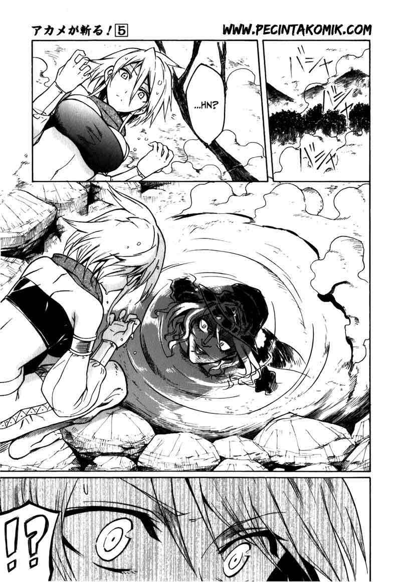 Akame ga Kill! Chapter 20 halaman 14