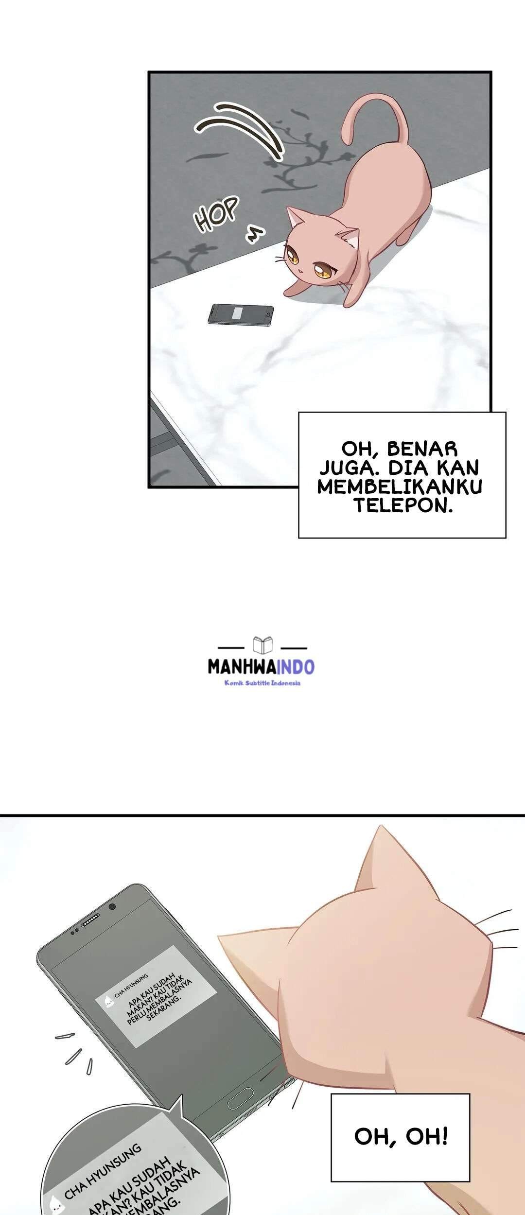 Just for a Meowment Chapter 17 halaman 15