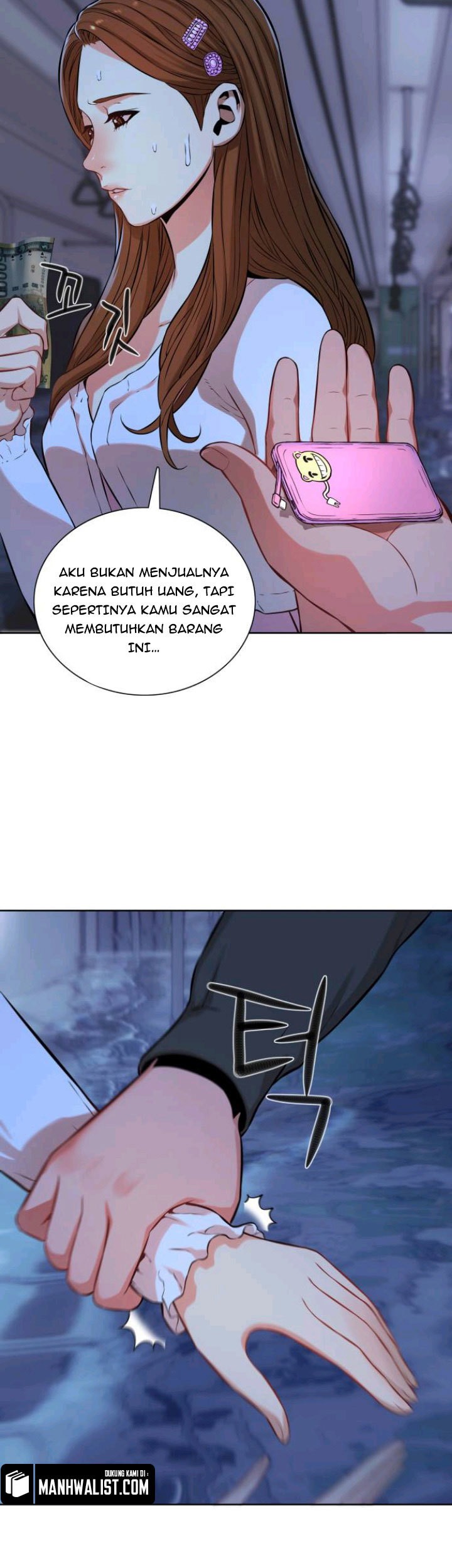 Halaman 17