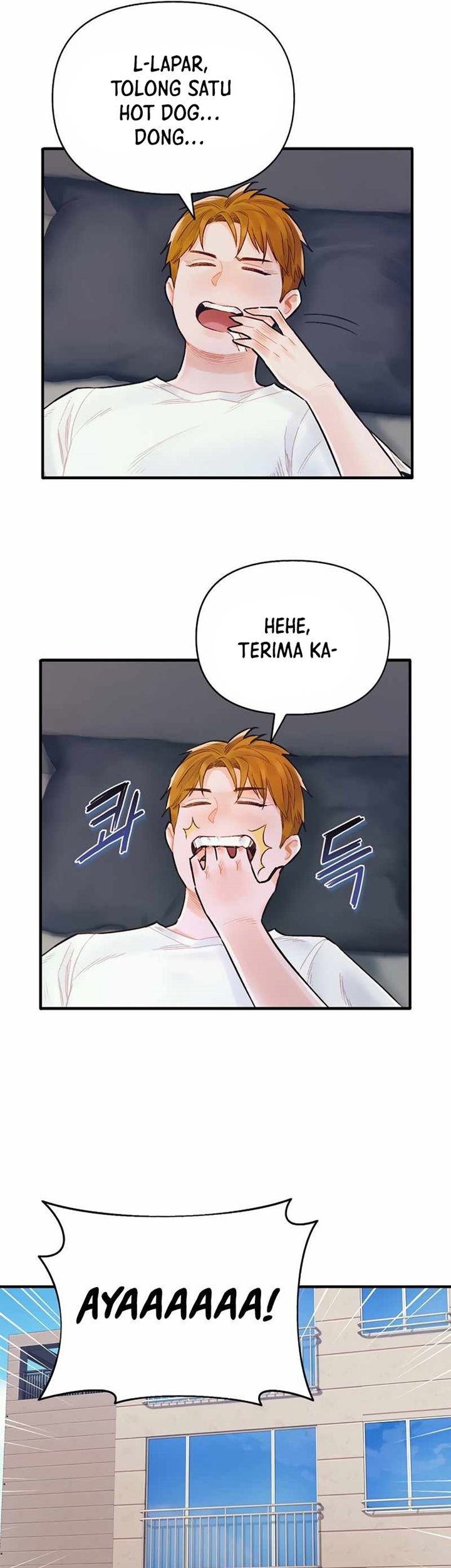 Halaman 17
