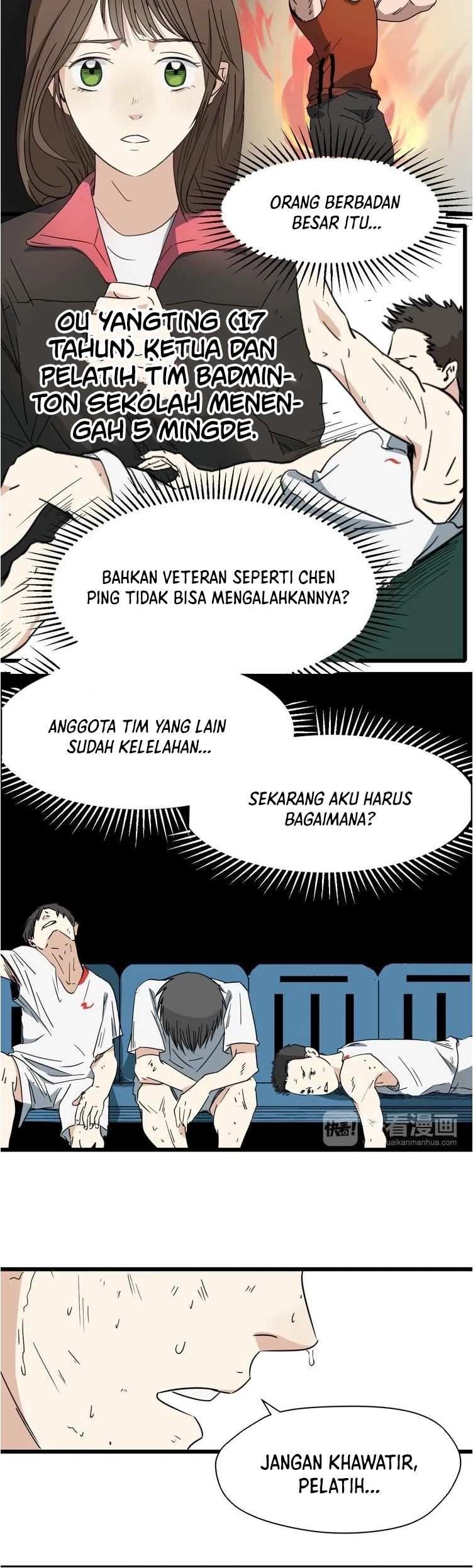 Halaman 17