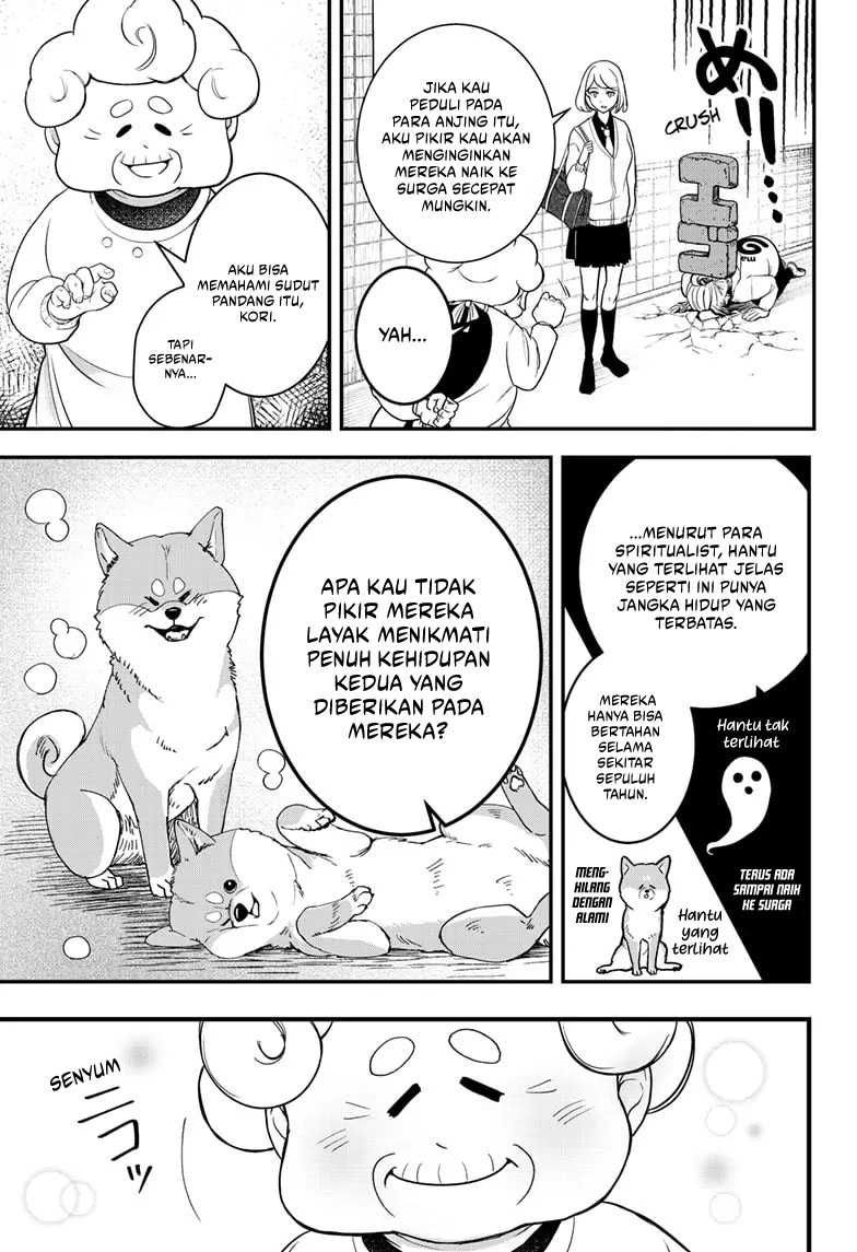 Halaman 17