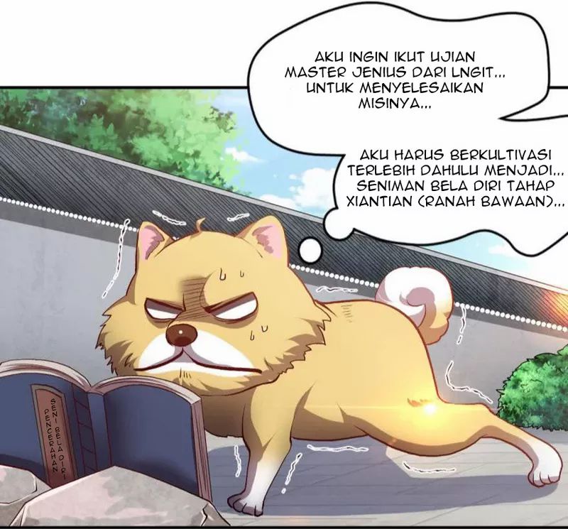 Halaman 13
