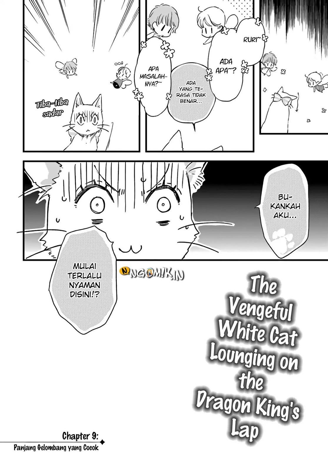 The Vengeful White Cat Lounging on the Dragon King’s Lap Chapter 09 Gambar 5